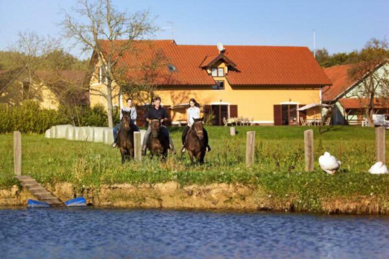 Apartments - Turisticna Kmetija Vrbnjak Ljutomer Exteriér fotografie